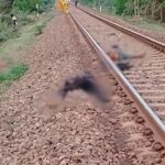 Tragic accident in Balod