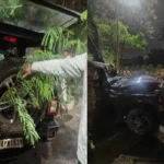 Raipur Road Accident