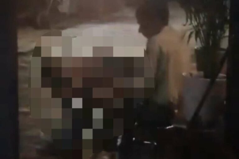 Sex With Street Dog