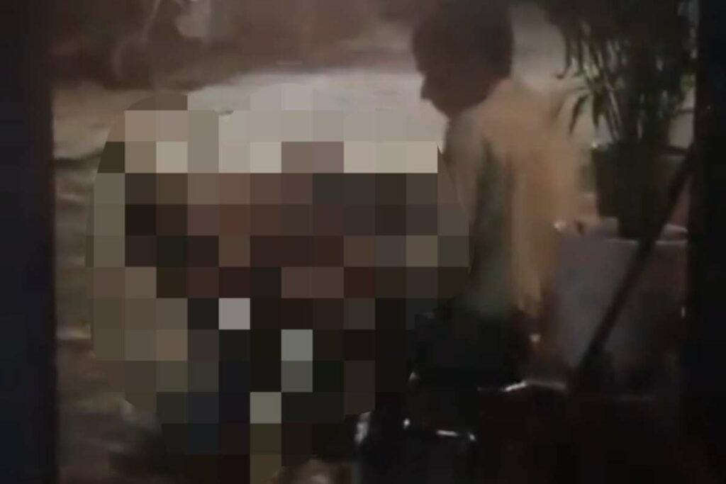Sex With Street Dog