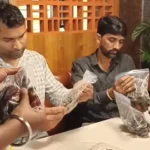 Chhattisgarh News
