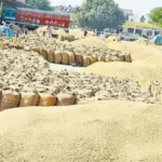 Chhattisgarh Dhan Kharidi