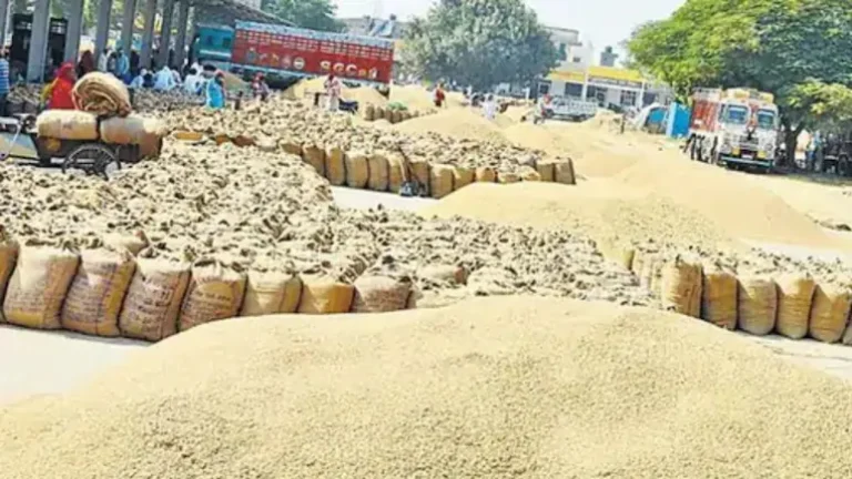 Chhattisgarh Dhan Kharidi