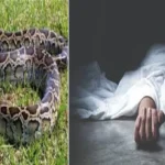 Python attack