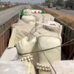 Chhattisgarh Hindi News