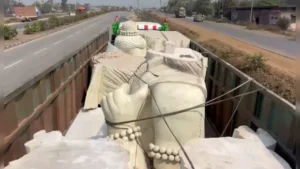 Chhattisgarh Hindi News