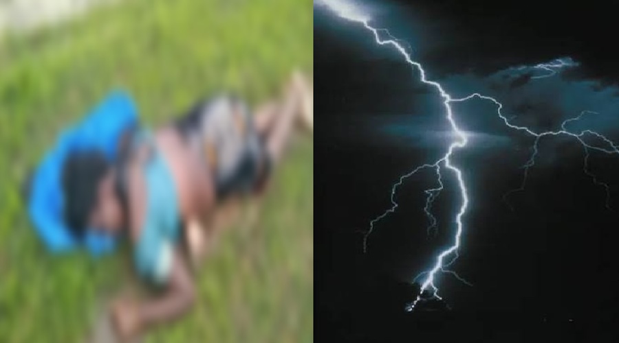 CHHATTISGARH NEWS